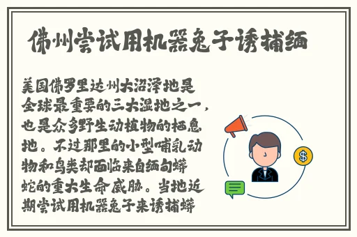 不忠做运动全段